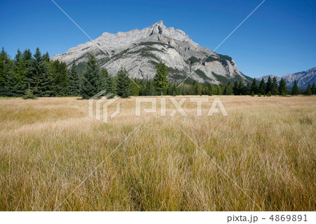 Mount Cascade 4869891