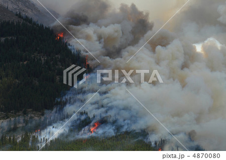 Forest Fire in the Rocky Mountains 11 4870080
