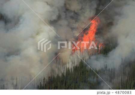 Forest Fire in the Rocky Mountains 07 4870083