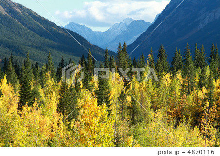 Autumn Color in the Mountains 4870116