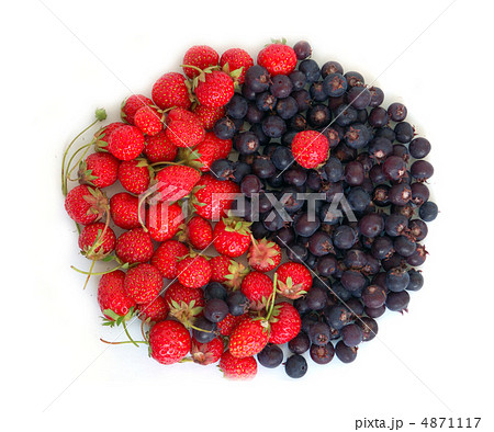 yin-yang symbol yin-yang symbol 4871117