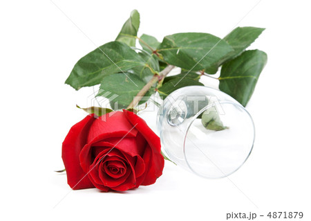 Red rose and a glass cup 4871879