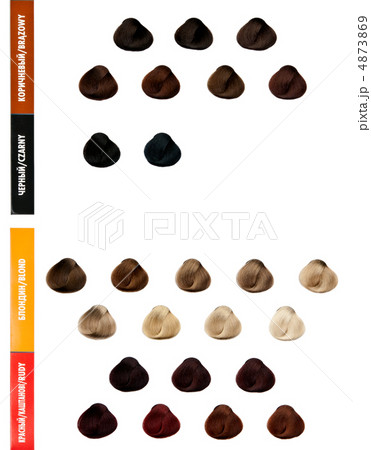 Professional palette of hair colors for color selection 4873869
