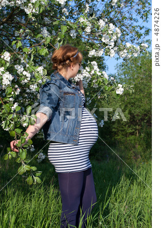 Pregnant woman standing apple tree 4874226
