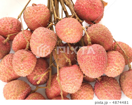 トロピカルフルーツ　ライチ 4874481