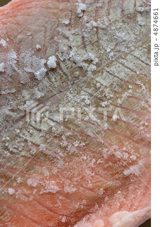 キングサーモン 4874661