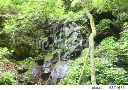 滝 4874686