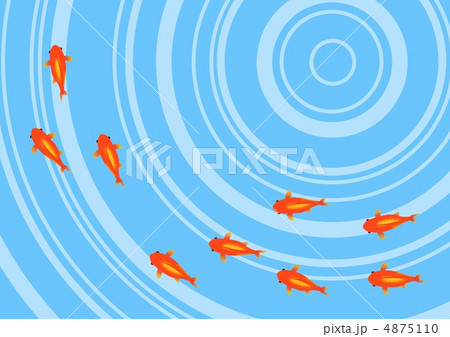 和金がいっぱい 和金がいっぱい 4875110