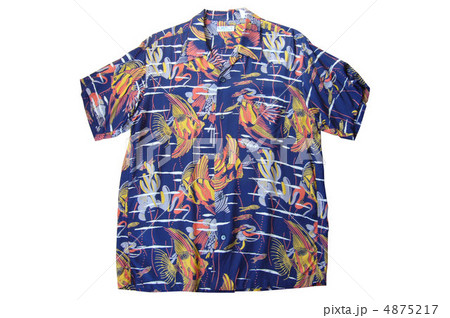 ハワイアンシャツ 4875217