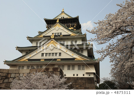 春の大阪城 春の大阪城 4875311