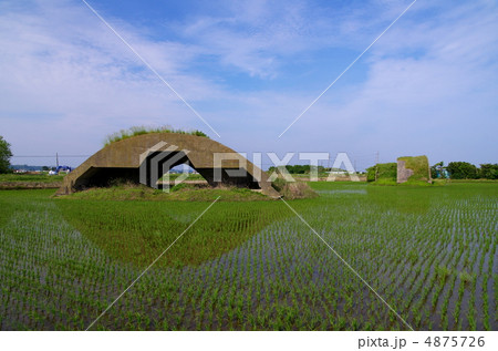 掩体壕(千葉県匝瑳市) 掩体壕(千葉県匝瑳市) 4875726