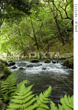 上賀茂神社 明神川 上賀茂神社 明神川 4875771