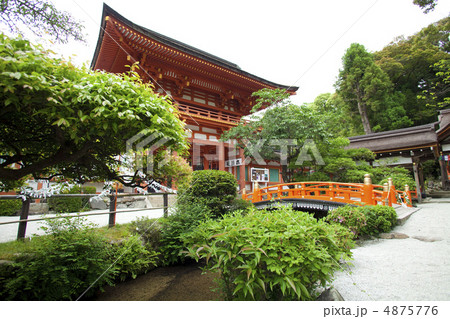 上賀茂神社　楼門 4875776