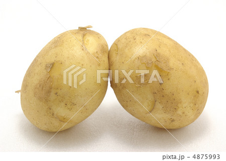 じゃがいも 4875993