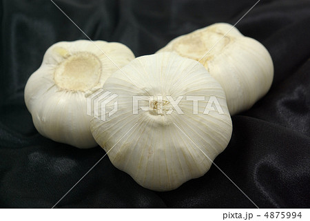 ニンニク 4875994