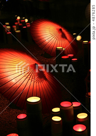 山鹿灯籠浪漫・百華百彩祭りⅡ 山鹿灯籠浪漫・百華百彩祭りⅡ 4876285