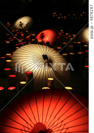 山鹿灯籠浪漫・百華百彩祭りⅡ 山鹿灯籠浪漫・百華百彩祭りⅡ 4876287