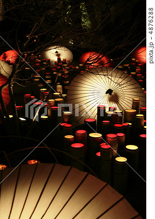 山鹿灯籠浪漫・百華百彩祭りⅡ 山鹿灯籠浪漫・百華百彩祭りⅡ 4876288