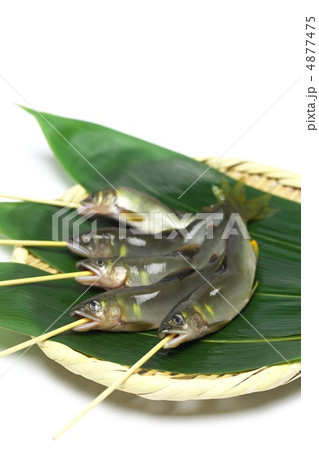 天然鮎 天然鮎 4877475