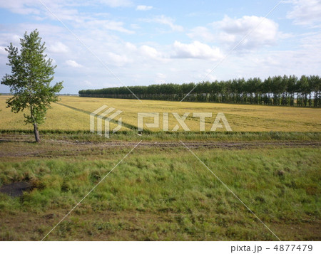 黒龍江省佳木斯　列車からの風景 4877479