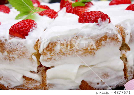 苺のケーキ 苺のケーキ 4877671
