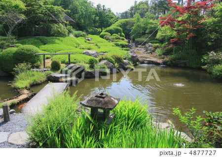 退蔵院庭園 退蔵院庭園 4877727