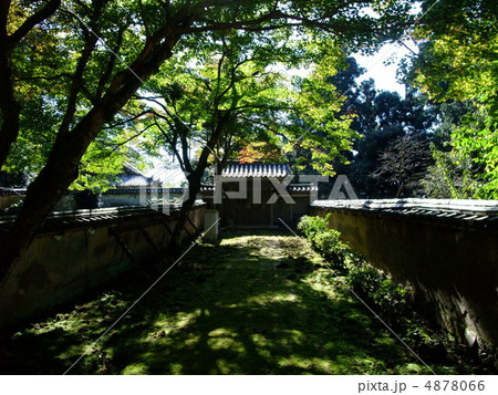 円教寺　瑞光院 4878066