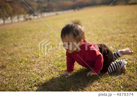 芝生でハイハイする１０カ月の赤ちゃん２ 4878374