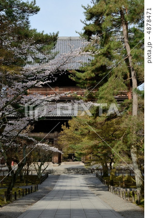 春の南禅寺、参道 春の南禅寺、参道 4878471