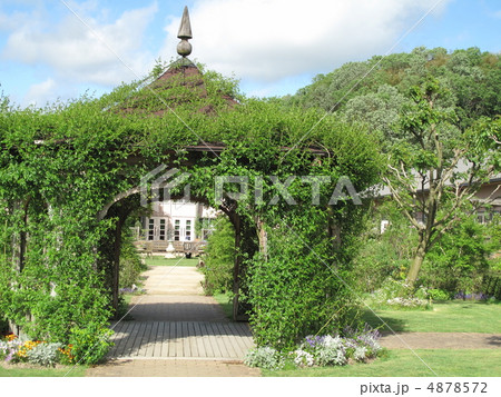 英国庭園 4878572