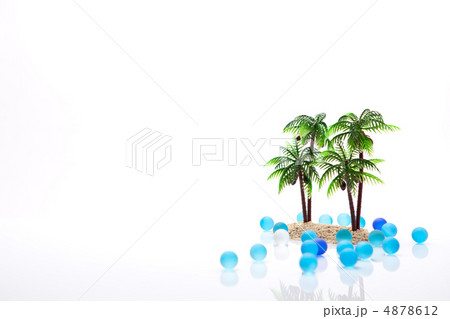 南の島イメージ 4878612