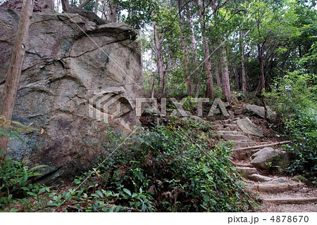 ペンギン岩 ペンギン岩 4878670