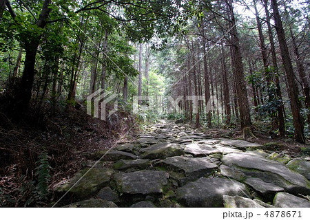 熊野古道 伊勢路 熊野古道 伊勢路 4878671