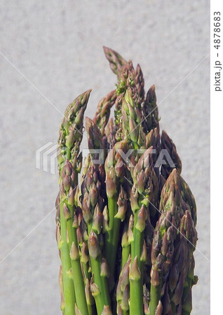 アスパラ 4878683