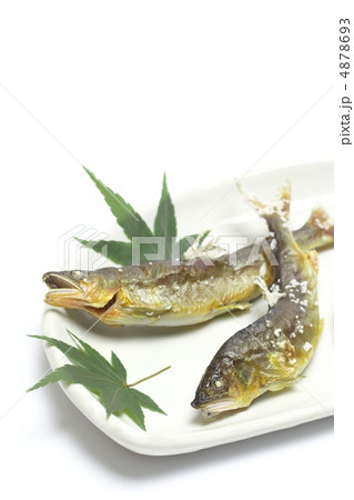 鮎の塩焼き 4878693