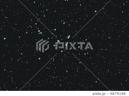 プレセペ星団 M44 プレセペ星団 M44 4879196