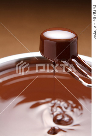 チョコレート 4879243