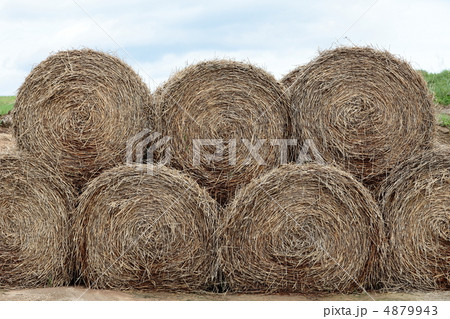 牧草ロール 牧草ロール 4879943