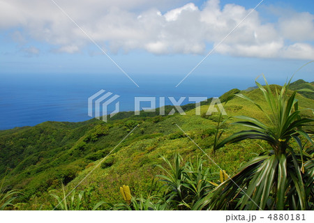 母島 乳房山山頂から北側を望む 母島 乳房山山頂から北側を望む 4880181