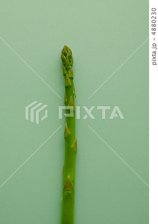 アスパラ 4880230