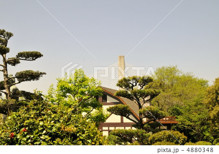 新緑 新緑 4880348