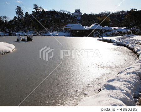 雪の彦根城 4880385