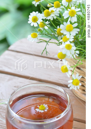 ハーブティー ハーブティー 4880745