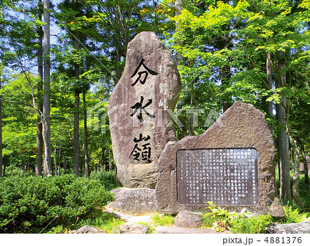 ひるがの分水嶺公園 4881376