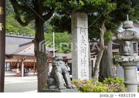 大山 4881539