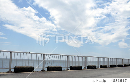 海浜公園 4881617