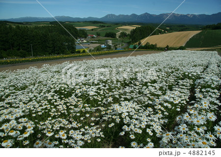 富良野 4882145