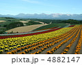 富良野 4882147