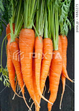 とれたて人参 4882275