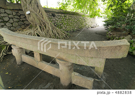 鹿児島 桜島 埋没鳥居 鹿児島 桜島 埋没鳥居 4882838